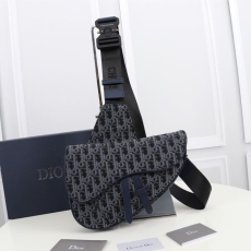 Christian Dior Saddle Bags